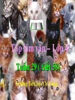 TLV TA CON VAT TUAN 29