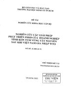 Nghiên cứu các giải pháp phát triển SXKD của doanh nghiệp tỉnh Kon Tum vùng Tây Nguyên sau khi Việt Nam gia nhập WTO