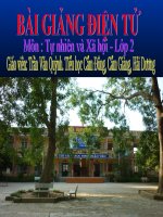 TNXH LOP 2 TUAN 30 NHAN BIET CAY COI LOAI VAT