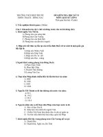 Đề HKII Lịch sử 8 - 5