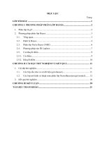 Tiểu luận môn CÔNG NGHỆ TRI THỨC VÀ ỨNG DỤNG TÌM HIỂU VÀ CÀI ĐẶT THUẬT TOÁN PHÂN LỚP NAIVE BAYES