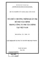Tổ chức chương trình quản trị rủi ro tài chính trong Công ty phi tài chính tại Việt Nam