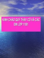 Nhân dân Việt Nam kháng chiến chống Pháp xâm lược 1873-1884(t2)