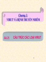 Bai 30 cau truc vi rut