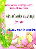 TNXH BÀI CÂY HOA