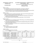 đề thi HSG tỉnh Đăklăk 2010-2011