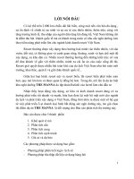 Báo cáo phân tích thị trường dự án biệt khu nghỉ dưỡng THE MANNA