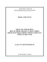 Nhân tố ảnh hưởng đến sự hình thành và phát triển kiểm toán hoạt động trong lĩnh vực công ở Việt Nam