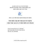 Tiểu luận môn Hệ hỗ trợ quyết định TÌM HIỂU HỆ HỖ TRỢ QUYẾT ĐỊNH CHO VIỆC QUẢN LÝ ĐỔI MỚI SẢN PHẨM