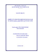 Nghiên cứu sinh tổng hợp enzym cellulase từ chủng bacillus subtilis phân lập từ đất vườn
