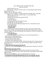 Lễ kết nạp đội viên mới