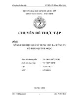 luận văn quản trị tài chính  Nâng cao hiệu quả sử dụng vốn tại Công ty cổ phần Quỳnh Ngọc.DOC