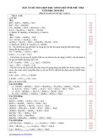 Đề thi HSG tỉnh Phú Thọ 2010-2011