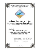 HỆ THỐNG MẠNG CHO DOANH NGHIỆP NHỎ hõ TRỢ kết nối WIFI