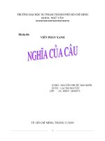nghĩa của câu