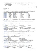 Đề TN THPT môn Tiếng Anh CNC năm 2009 mã 246