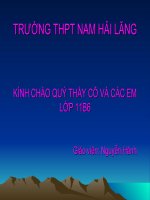 Phong trào yêu nước chống Pháp của nhân dân Việt Nam cuối thế kỉ XIX(T1)