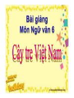 Bài giảng cây tre việt nam ngữ văn 6