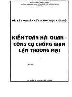 Kiểm toán hải quan - công cụ chống gian lận thương mại
