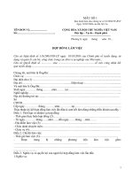 Mẫu hợp đồng lao động lần I