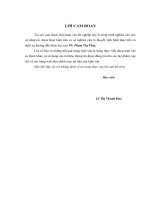 Hoàn thiện công tác kế toán quản trị chi phí tại Công ty Cổ phần Phát triển Việt Mỹ