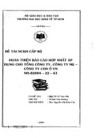 Hoàn thiện báo cáo hợp nhất áp dụng cho Tổng Công ty, Công ty mẹ-Công ty con ở Việt Nam