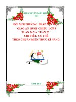 ĐỔI MỚI PHƯƠNG PHÁP DẠY HỌC  GIÁO ÁN  BUỔI CHIỀU  LỚP 5   TUẦN 24 VÀ TUẦN 25  CHI TIÊT, CỤ THỂ  THEO CHUẨN KIẾN THỨC KĨ NĂNG.