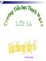 Luyện Tiếng Việt - luyện đọc lop 5