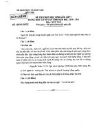 Đề thi HSG tỉnh môn Ngữ Văn