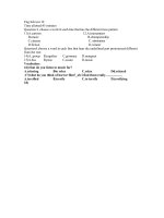 kiem tra 1 tiet anh van 10 co ban