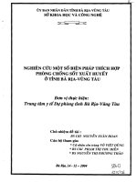 Nghiên cứu một số biện pháp thích hợp phòng chống sốt xuất huyết ở tỉnh Bà Rịa - Vũng Tàu