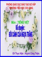 KE CHUYEN TUAN 29