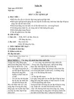 Giáo án Tin 8 kì II (2010-2011)