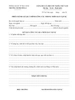 Mẫu đơn hết tập sự