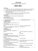 bai oan tuan 28 lop 1