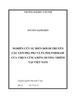 tóm tắt Nghiên cứu sự biến đổi di truyền các gen PB2, PB1 và PA polymerase của virus cúm AH5N1 đương nhiễm tại Việt Nam