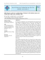 Hiện trạng canh tác và một số đặc tính đất vườn trồng măng cụt tại huyện Chợ Lách, tỉnh Bến Tre