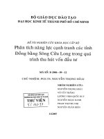 Phân tích năng lực cạnh tranh các tỉnh Đồng bằng sông Cửu Long trong quá trình thu hút vốn đầu tư