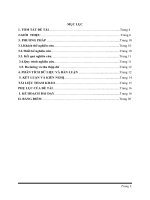 SKKN: MỘT SỐ BIỆN PHÁP KHẮC PHỤC NHỮNG SAI LẦM THƯỜNG MẮC TRONG KHI HỌC KỸ THUẬT NHẢY CAO KIỂU NẰM NGHIÊNG CỦA HỌC SINH LỚP 10 TRƯỜNG  THPT LỘC HƯNG