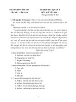 Đề HKII Ngữ Văn 7 - 7