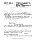 Đề thi HSG N.Văn cấp trường 10-11, THCS Bình Tân, Mộc Hóa, LA