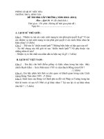 Đề thi HSG9 môn Sử cấp trường 10-11,THCS Bình Tân, Mộc Hóa, LA