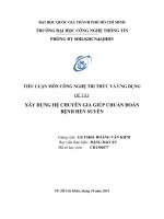 Tiểu luận Công nghệ tri thức và ứng dụng XÂY DỰNG HỆ CHUYÊN GIA GIÚP CHUẨN ĐOÁN BỆNH HEN SUYỄN
