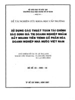 Sử dụng các thuật toán tài chính xác định giá trị doanh nghiệp nhằm đẩy nhanh tiến trình cổ phần hóa doanh nghiệp nhà nước Việt Nam