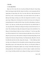 Nghiên cứu về bảng hỏi, thiết kế bảng hỏi và đặc điểm vận dụng bảng hỏi trong nghiên cứu CVM