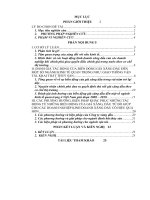 Tiểu luận Đánh giá tác động, ảnh hưởng của giá xăng dầu đến một số ngành nghề quan trọng giai đoạn 2008 - 2010