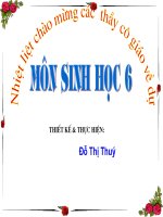 Bài 46;'' Thực vật góp phần điều hòa khí hậu