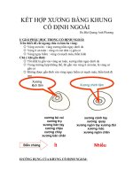 KẾT hợp XƯƠNG BẰNG KHUNG cố ĐỊNH NGOÀI