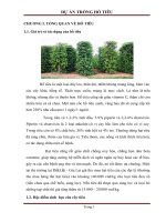 thuyết minh dự án trồng hồ tiêu
