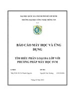 Tiểu luận môn Máy học và ứng dụng TÌM HIỂU PHÂN LOẠI ĐA LỚP VỚI PHƯƠNG PHÁP MÁY HỌC SVM